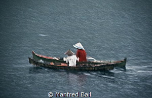 raining cats and dogs by Manfred Bail 